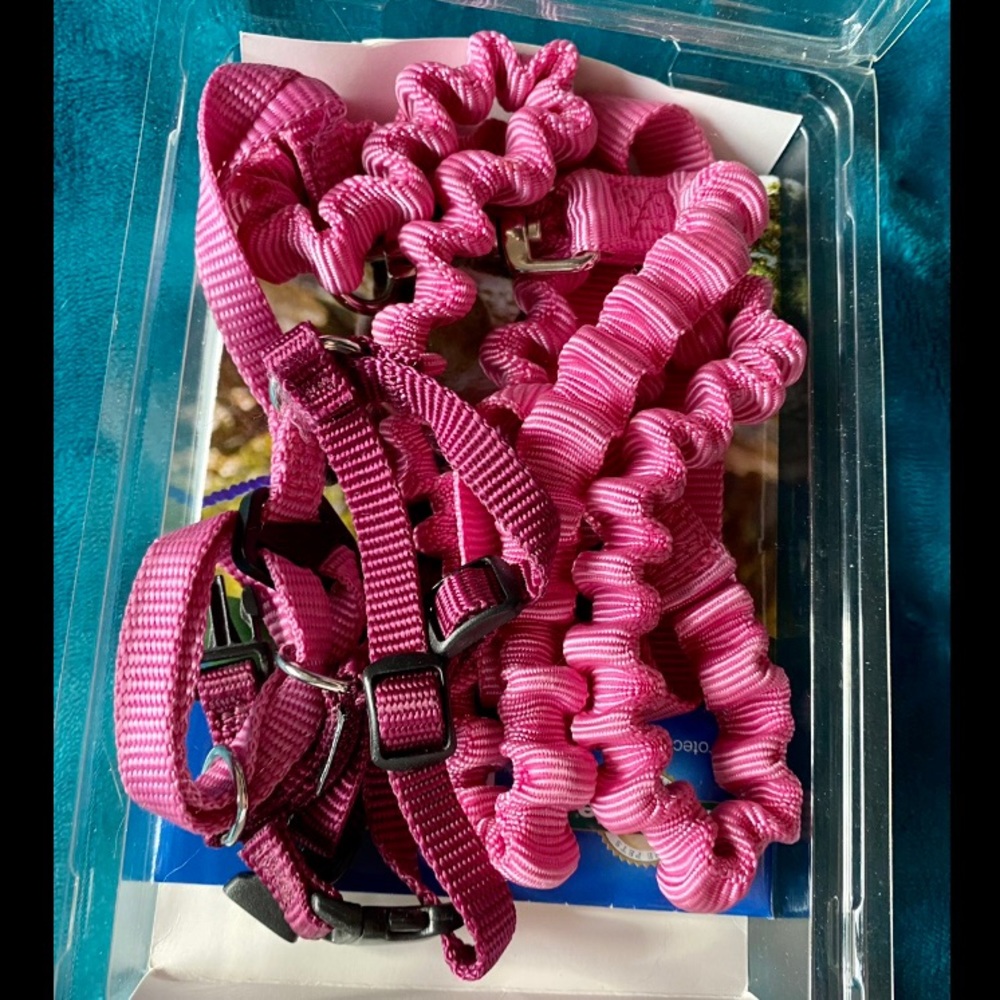 Pink cat harness with bungee leash - PetSafe brand